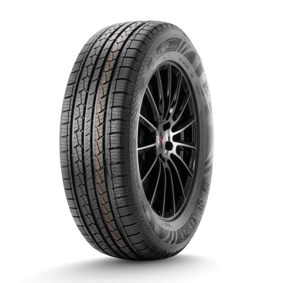 Шины DoubleStar  225/60/18  T 100 DS01