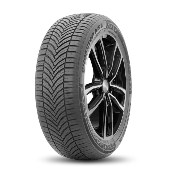 Шины Compasal  225/55/19  W 99 CROSSTOP A/S II